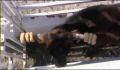 dr dolittle 3-avi_1000_130.jpg